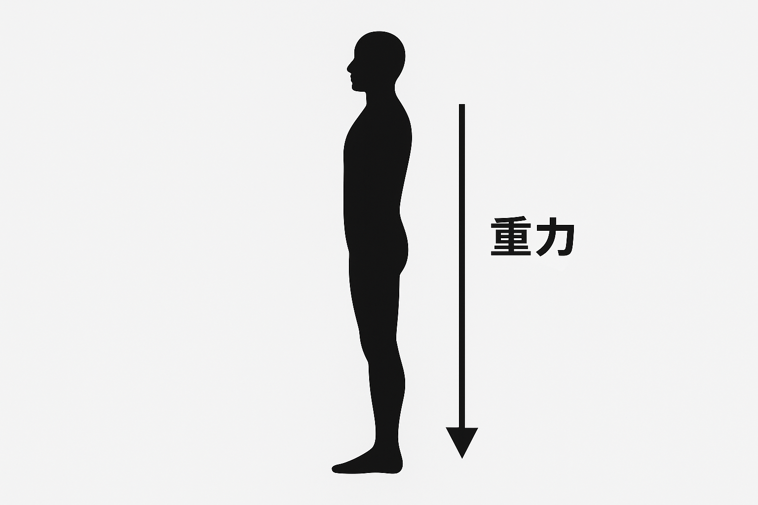 重力とバランス ― 人はなぜ立ち上がるように進化したのか